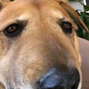 Meet your Posher, Esteban